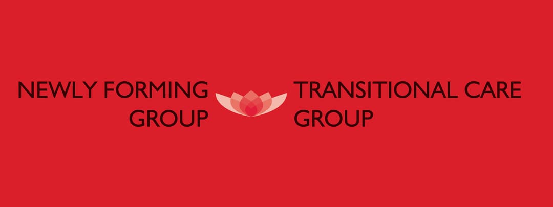 ACRM Transitional Care Group